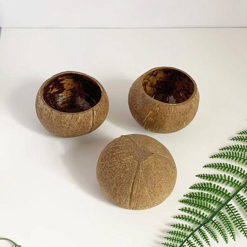 Coconut Candle Bowl Party Deco - Candle Making Homewood recensie en prijs